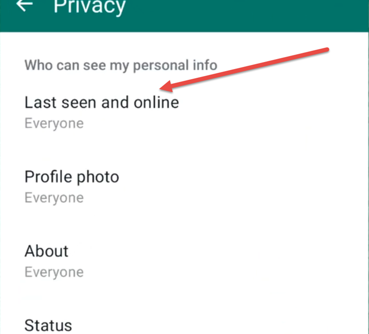 Last Seen and Online Status as Part of WhatsApp's Built-In Features